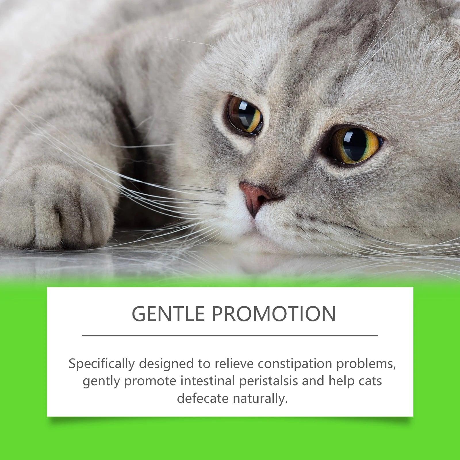 Yegbong Cat Probiotic Drops – Digestive & Immune Support Supplement | Enhances Vitality, Nutrient Absorption & Overall Health