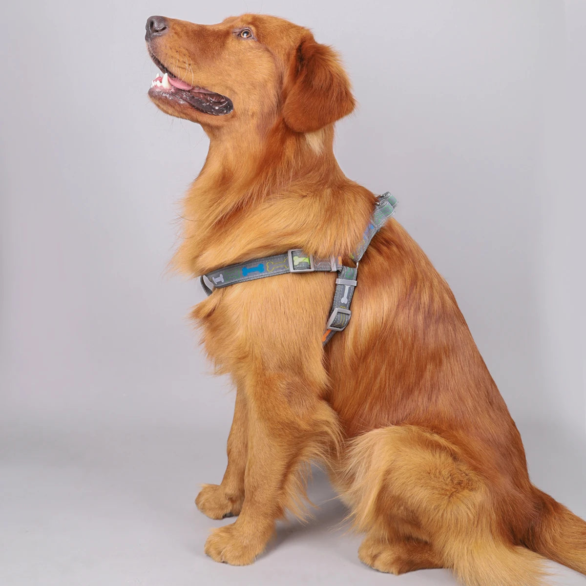 Colorful Bone Tripod Dog Harness – Adjustable Pet Harness for Indoor & Outdoor Use (1PC)