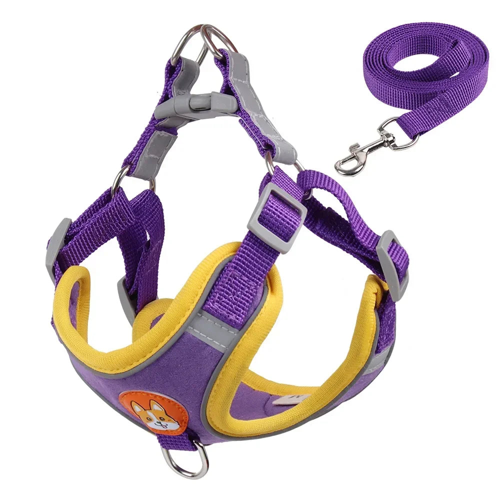 No Pull Dog Harness and Leash Set – Adjustable Reflective Puppy & Cat Vest for Small Dogs, Chihuahuas