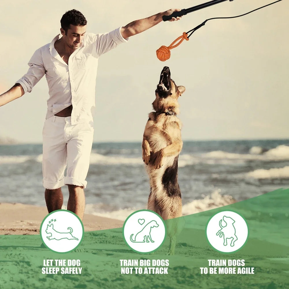 Retractable Flirt Pole Dog Toy – Bite-Resistant Teaser Wand with Plush Refill for Interactive Play & Training