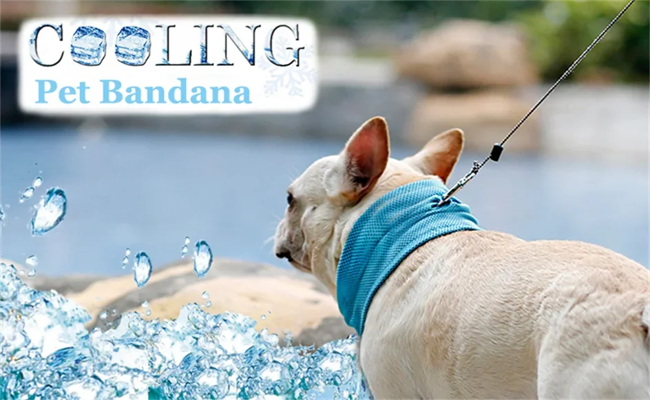 Summer Ice Dog Collar Reusable Physical Instant Cooling Bandana with Leash Hole Prevent Heat Stroke Outdoor Breathable Pet Scarf