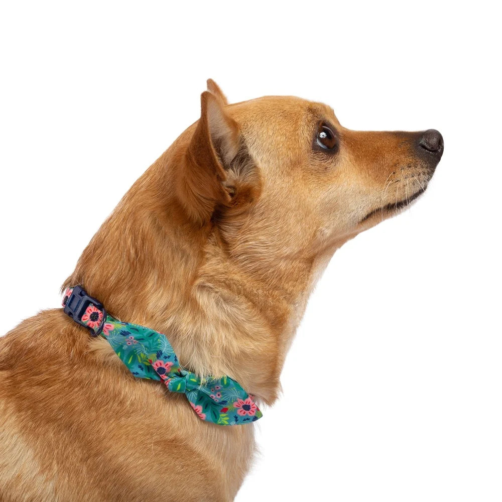 Jungle Floral Adjustable Dog Collar with Bow – XS Size for Miniature Poodles & Chihuahuas