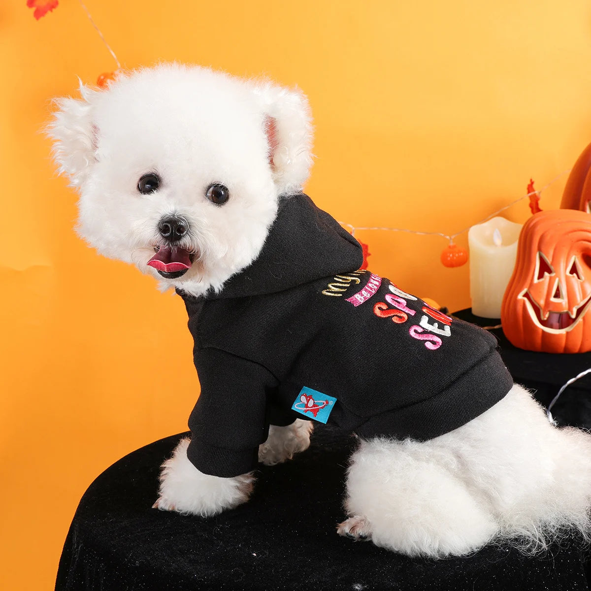 Thriller Season Halloween Hoodie – Dog & Cat Black Pet Sweater with English Embroidery