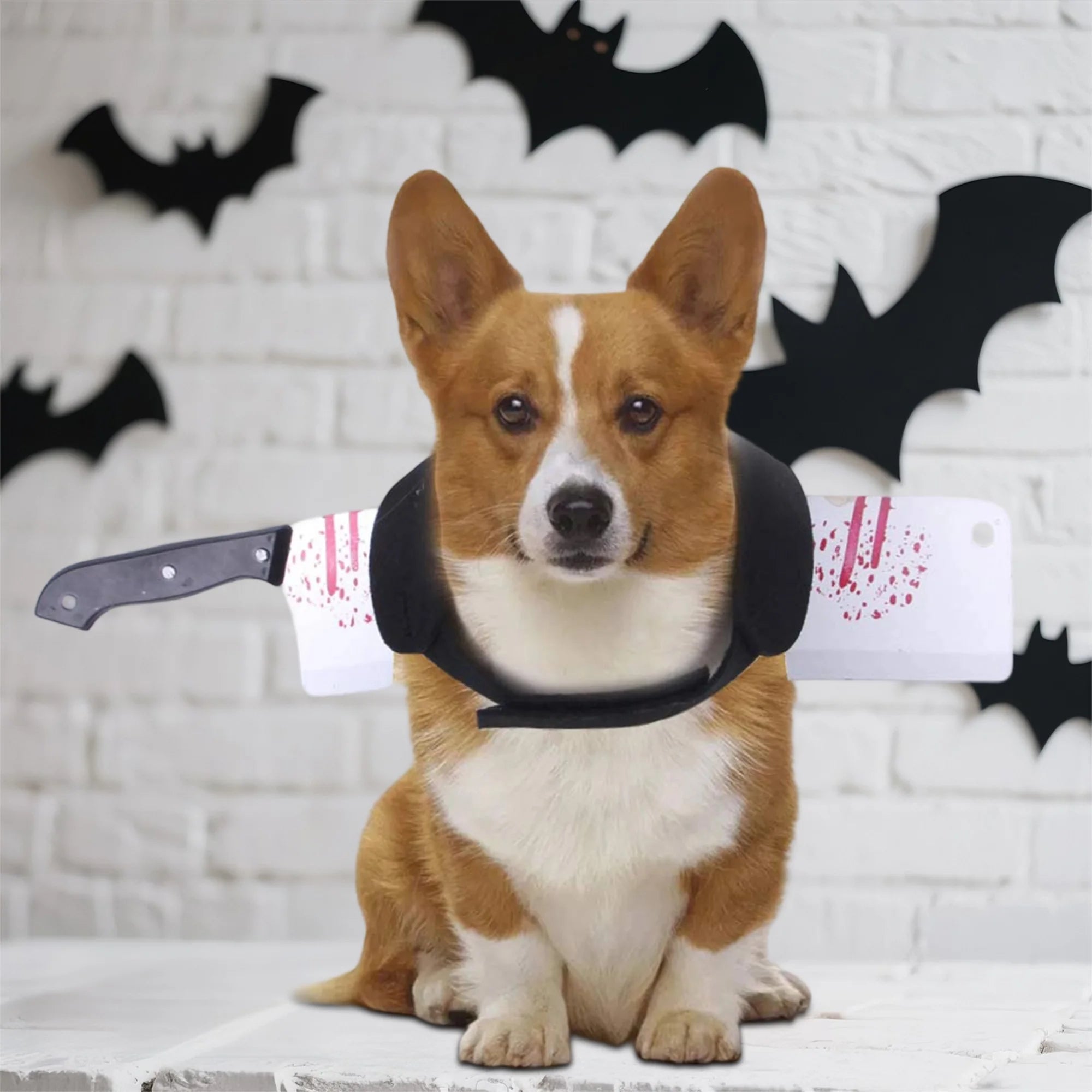 Funny Shark Hat Costume – Halloween Pet Outfit for Small Dogs & Cats