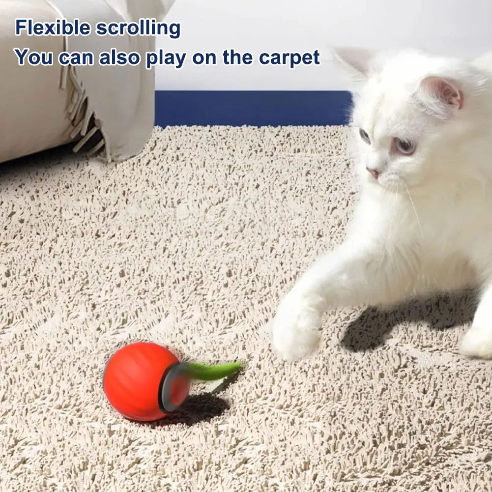 Smart Cat Toy Ball – USB Rechargeable Automatic Ball with Replacement Tail, Interactive Cat Toy for Indoor Exercise & Play