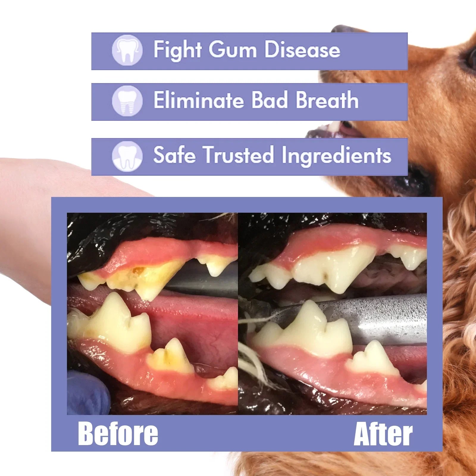 Pet Dental Spray – 30ml Tooth Cleaning & Fresh Breath Spray for Dogs & Cats, Oral Care & Bad Breath Deodorizer