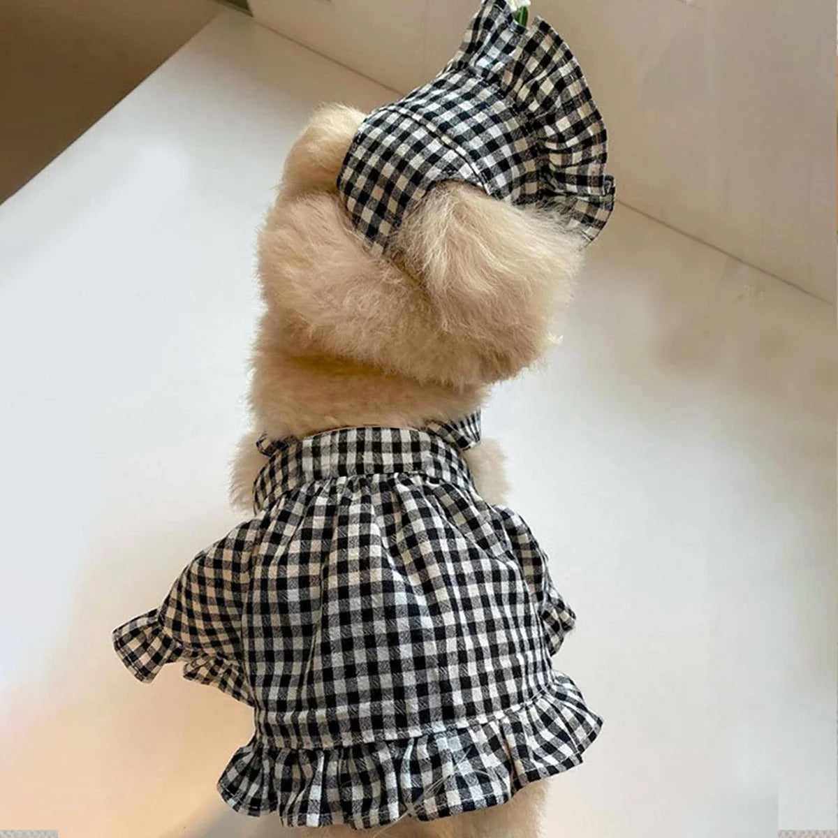Dog Plaid Dress with Hat – Black & White Summer Outfit for Small Dogs and Puppies
