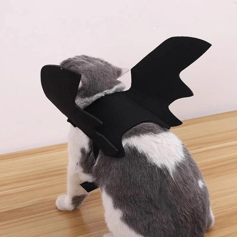 Pet Bat Collar – Halloween Costume Accessory for Dogs & Cats