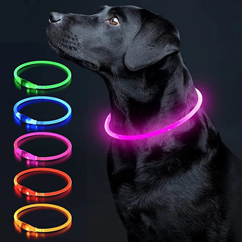 USB Charging LED Luminous Dog Collar – Adjustable Flashing Safety Light Necklace for Dogs & Cats