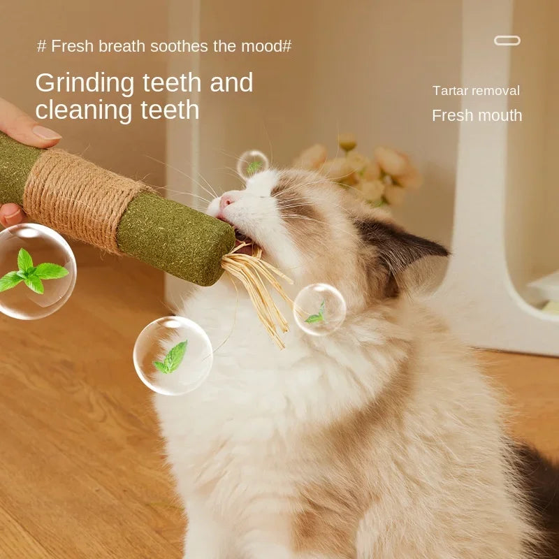 Silvervine Chew Sticks for Cats – Natural Catnip Dental Toy, Teeth Cleaning & Chewing Treats for Kittens & Adult Cats