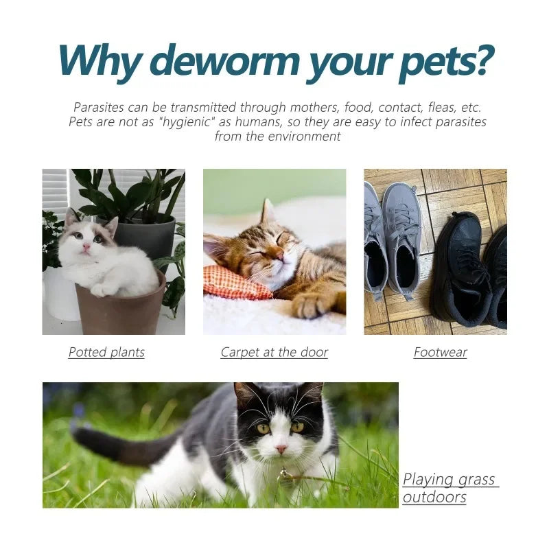 50ml Pet Anti-Flea and Tick Agent – External Deworming Solution for Cats and Dogs