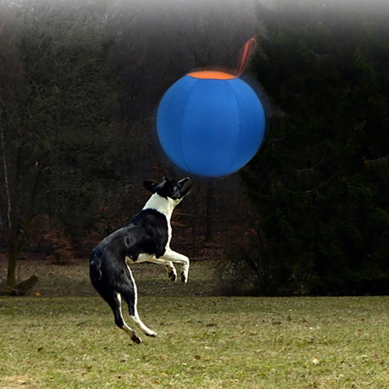 Pet Herding Ball – Interactive Training & Exercise Toy for Dogs