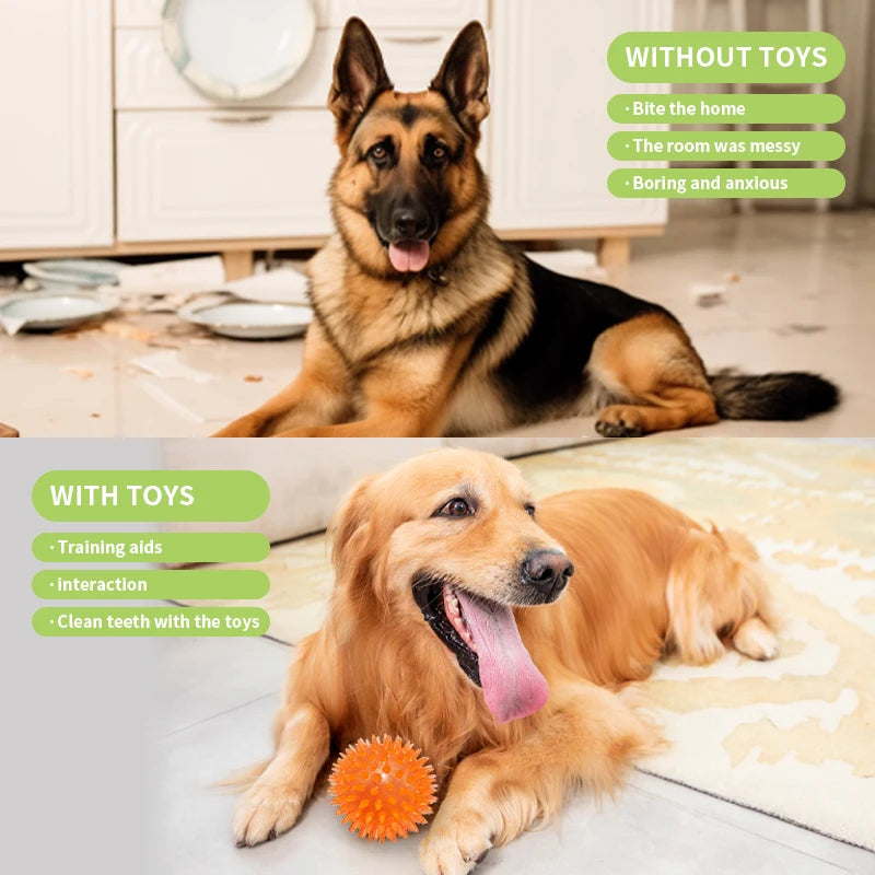 18-Piece Dog Toy Pack – Squeakers, Balance Bikes, Ropes & Interactive Toys with Food Dispensers for Training, Chewing & Mental Stimulation