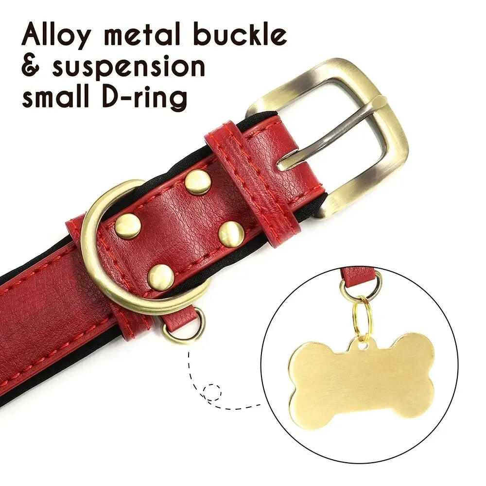 ersonalized Leather Dog Collar with Engraved ID Nameplate – Soft Padded Custom Collar for Small, Medium & Large Dogs