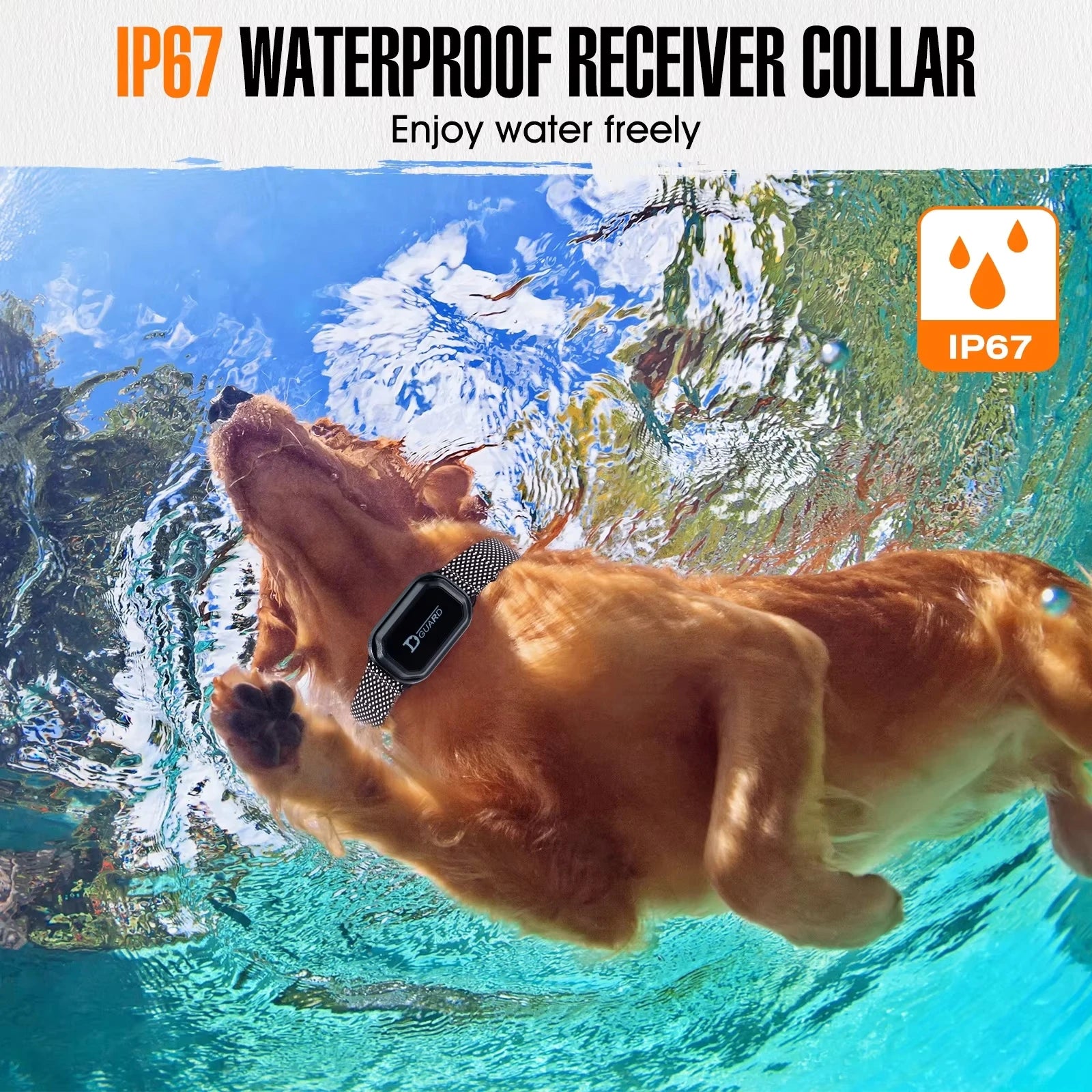 800m Rechargeable Dog Training Collar – Waterproof with LCD Remote, Shock, Vibration & Sound