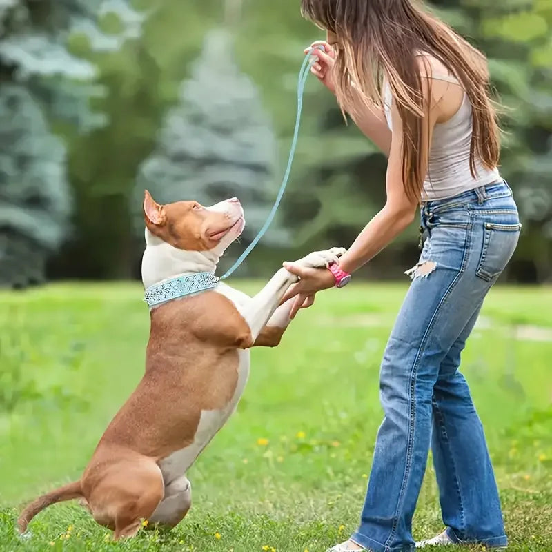 Spiked Dog Collar & Leash Set – Adjustable PU Leather Rivet Collar with Matching Leash for Outdoor Walking