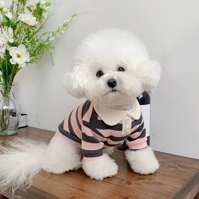 ๐ถ Summer Polo Shirt for Dogs โ Lightweight, Stylish Cooling Shirt for Small & Medium Breeds