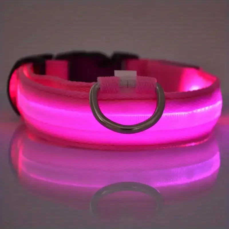 LED Dog Leash & Collar – Nylon Glow-in-the-Dark Safety Set for Night Walks