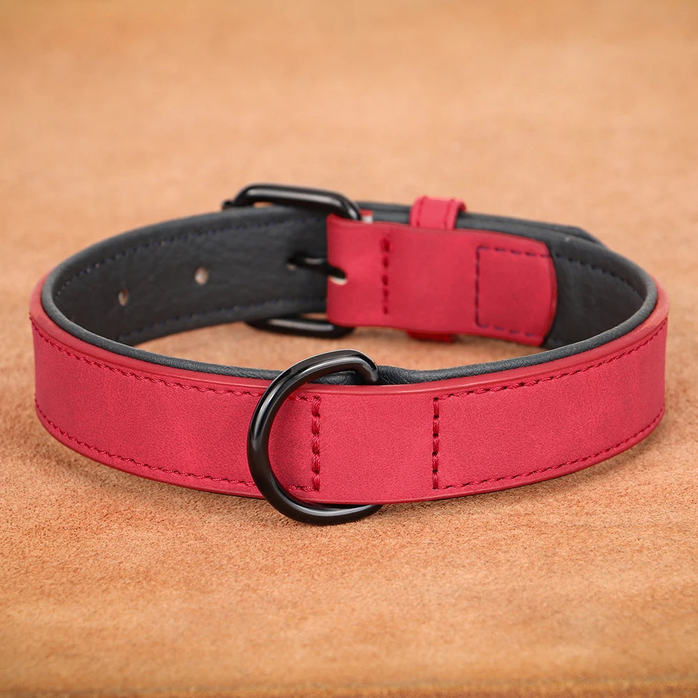 Large Dog Collar – Soft Padded Real Leather Collar for Big Dogs like Rottweiler, Labrador & Pitbull