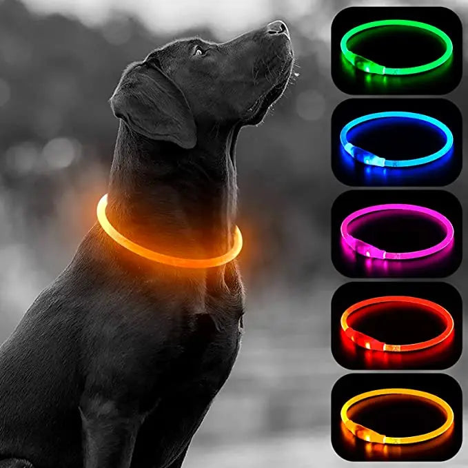 USB Charging LED Luminous Dog Collar – Adjustable Flashing Safety Light Necklace for Dogs & Cats