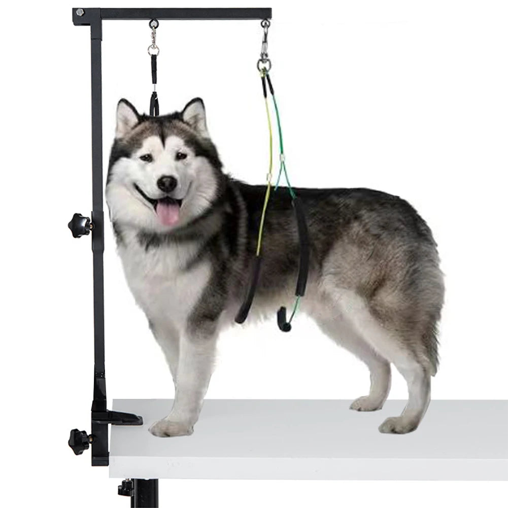 Stainless Steel Dog Grooming Stand with Adjustable Arm & Restraint Rope