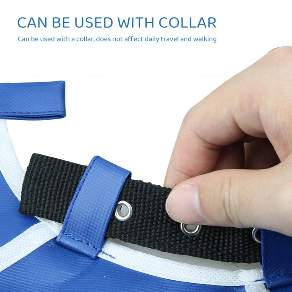 Adjustable Soft Recovery Cone for Cats & Small Dogs – Comfortable Elizabethan Collar