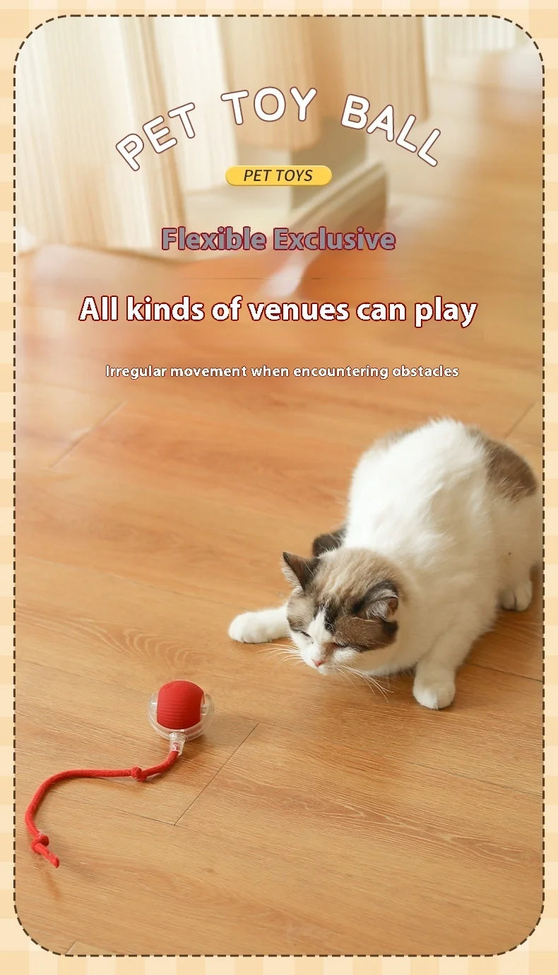 Smart Electronic Interactive Pet Toy Ball – USB Rechargeable Moving, Jumping & Bouncing Ball for Dogs & Cats