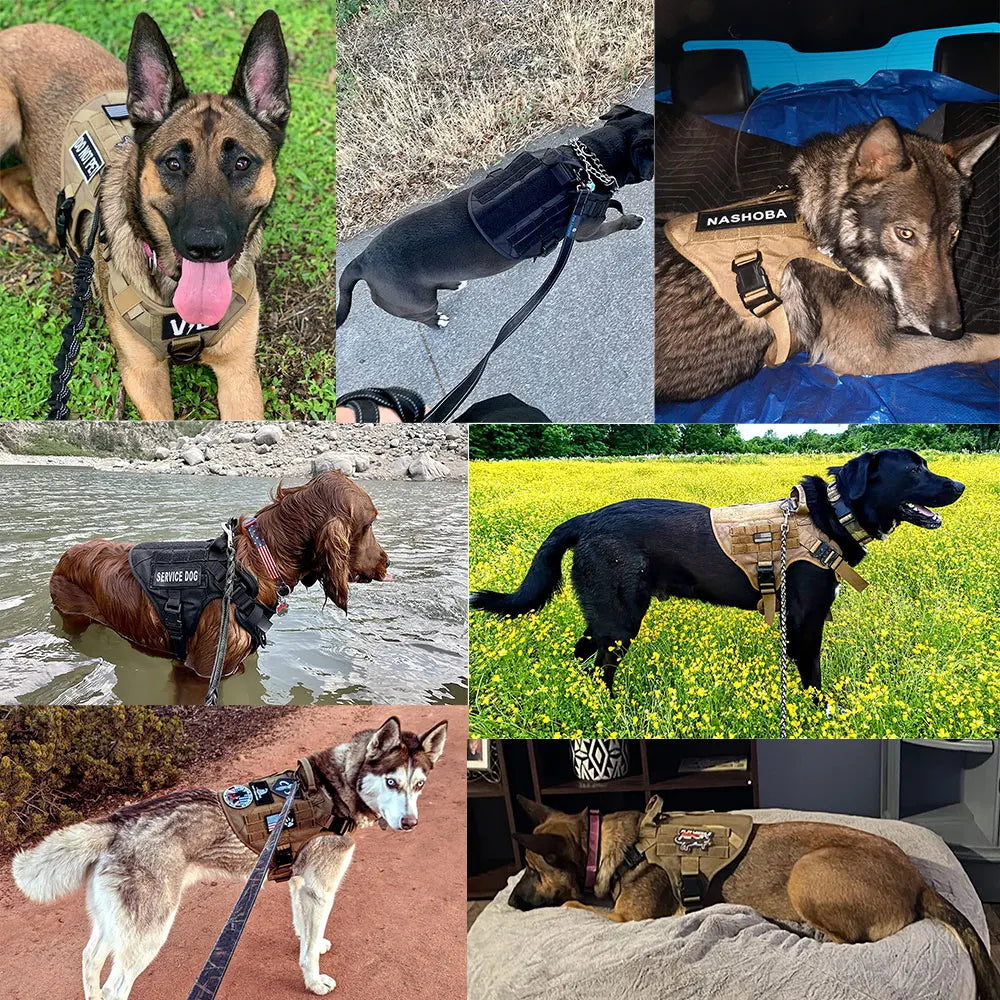 Large Dog Harness & Leash Set – Training Vest for German Shepherds, Malinois & Big Dogs