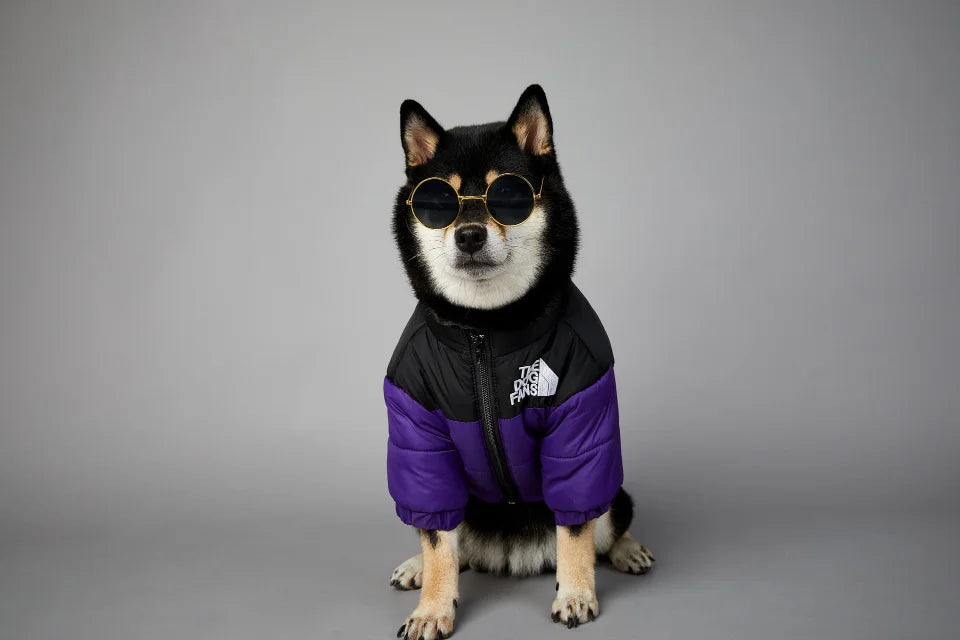 . Dog Fans Winter Pet Down Jacket – Thick Warm Coat for Small & Medium Dogs