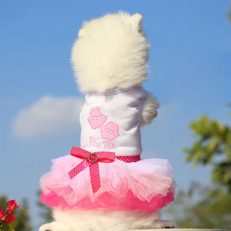 Princess Dog Dress – Lace Tutu Outfit for Small Dogs, Chihuahua & Puppy Apparel