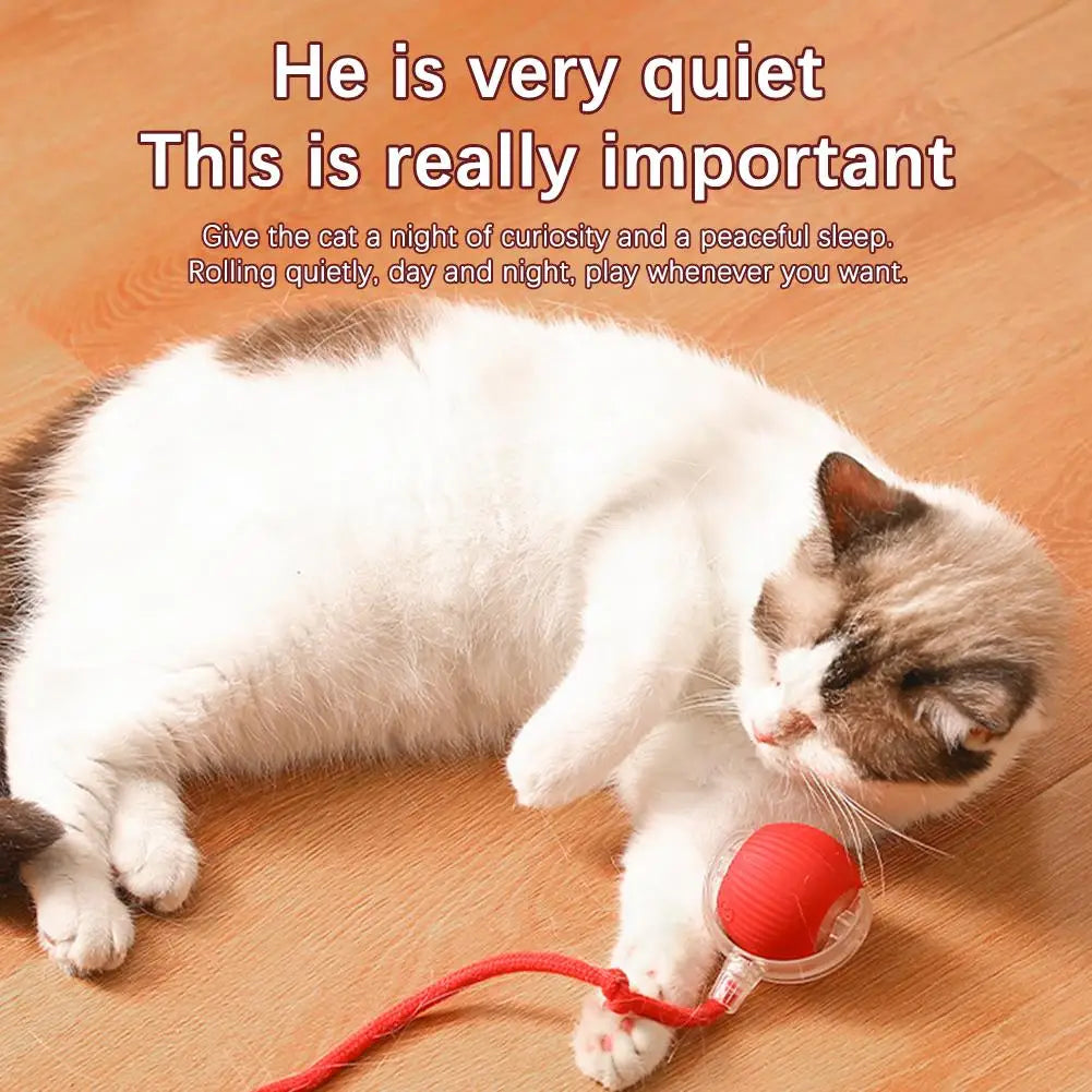 Rechargeable Automatic Cat Ball Toy – Smart Rolling Ball with Faux Tail for Interactive Play