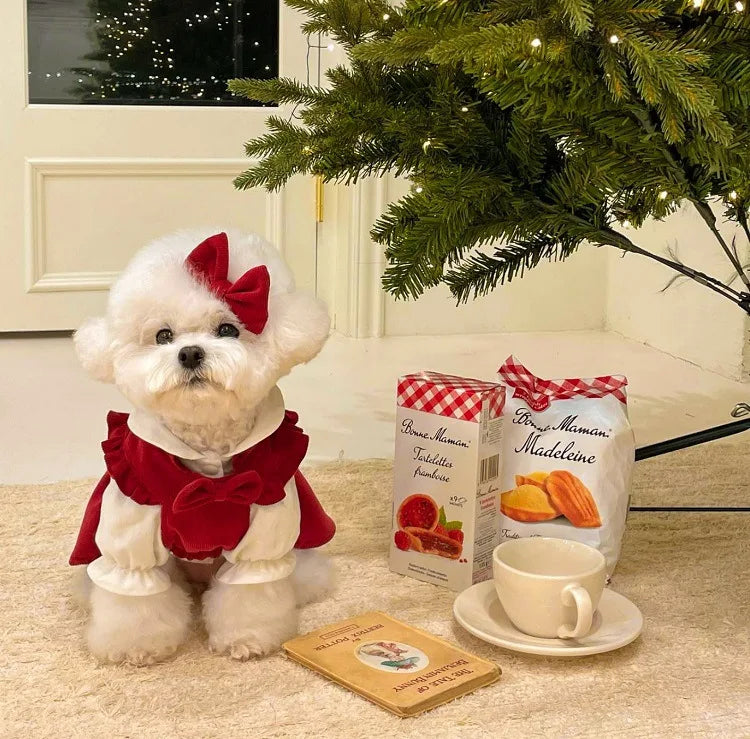Winter Puppy Princess Dress – Warm Bow Knot Dog Dress Set with Hair Clip