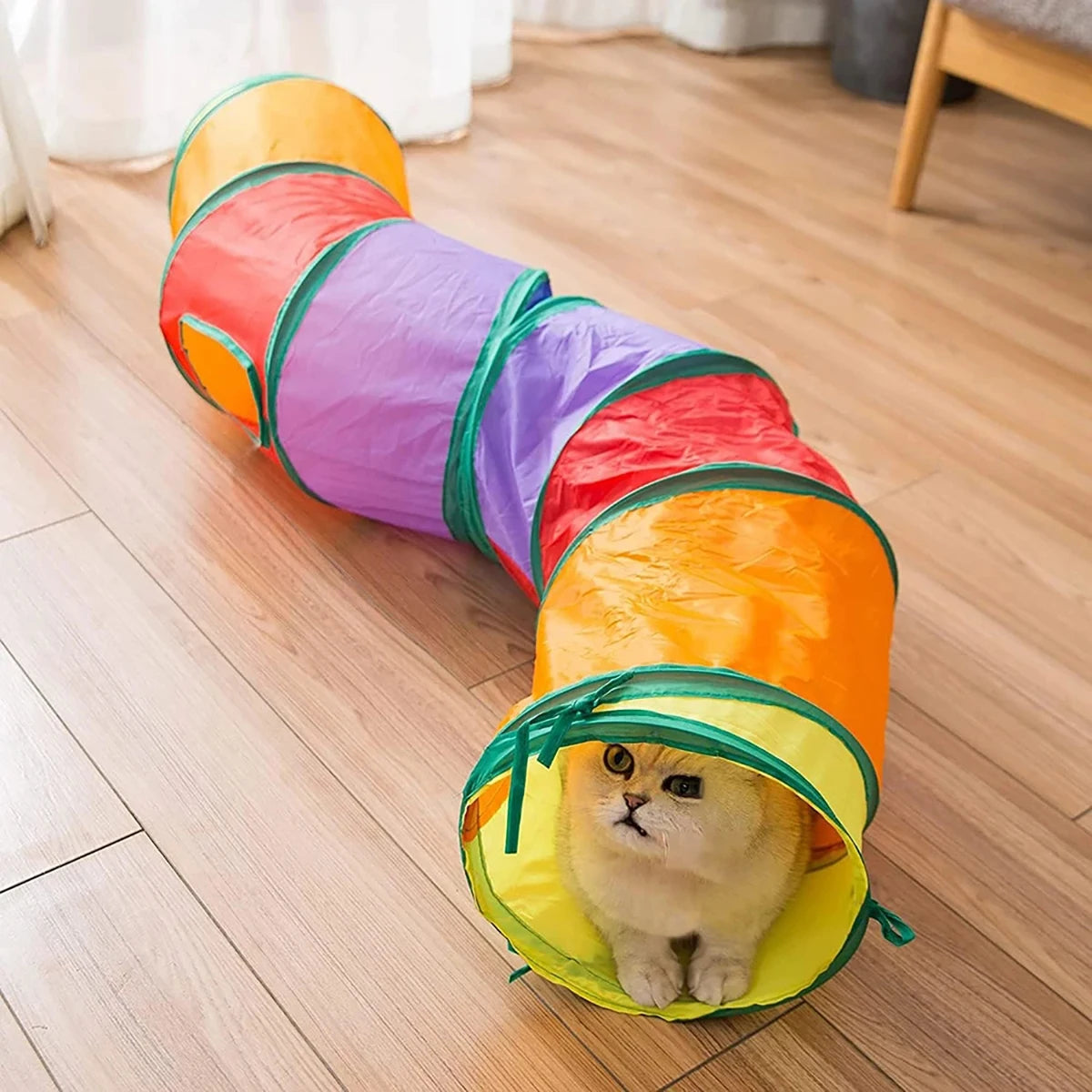Foldable Cat Tunnel Tube – Interactive Fun Toy for Cats, Kittens & Small Pets
