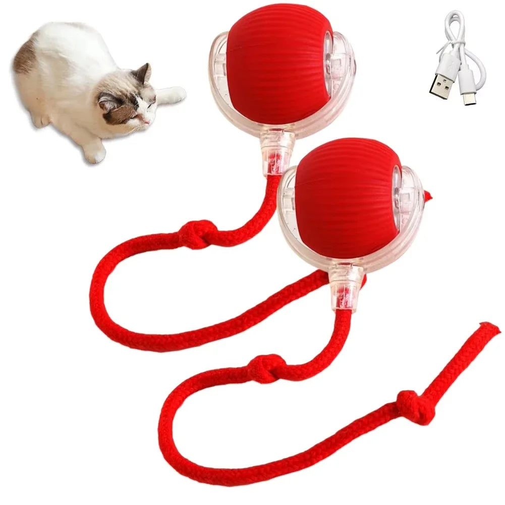 Rechargeable Automatic Cat Ball Toy – Smart Rolling Ball with Faux Tail for Interactive Play