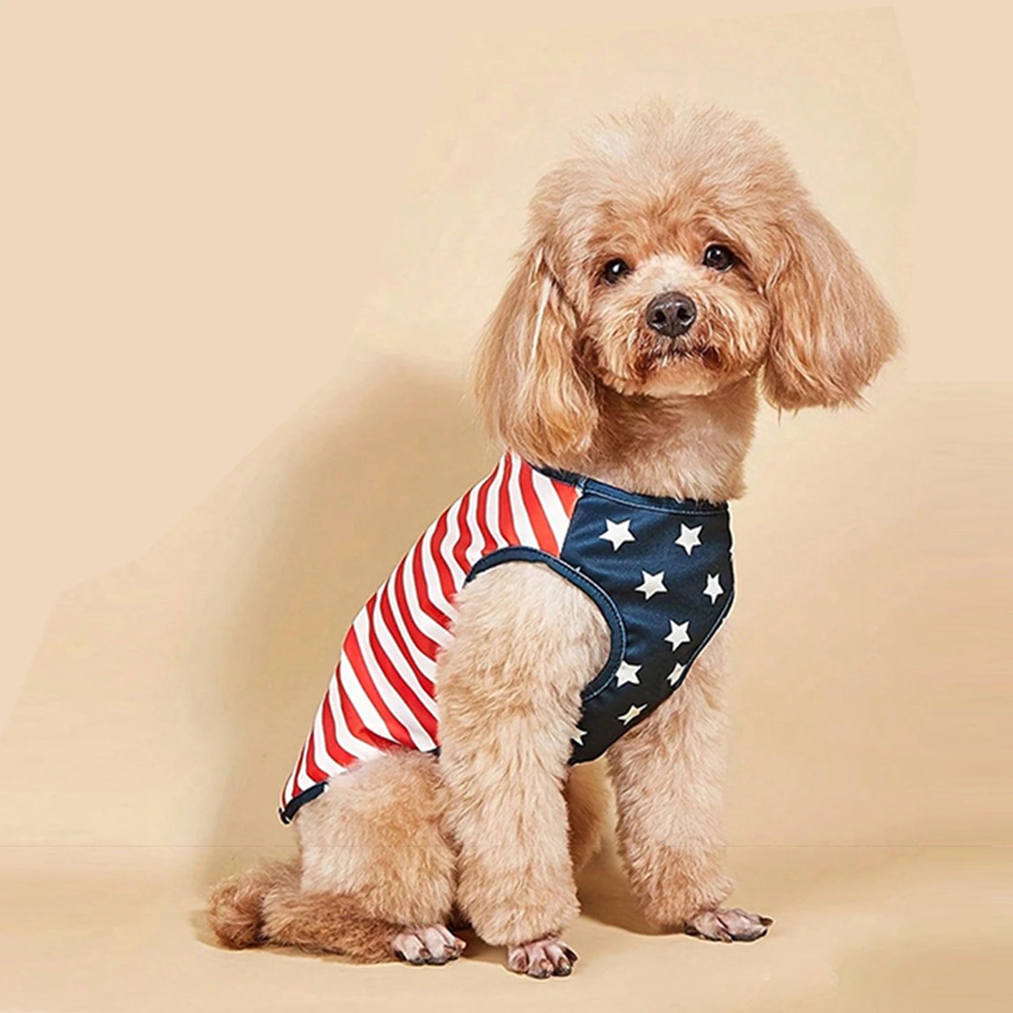 American Flag Pet T-Shirt ā Patriotic Tee for Dogs & Cats, All Sizes