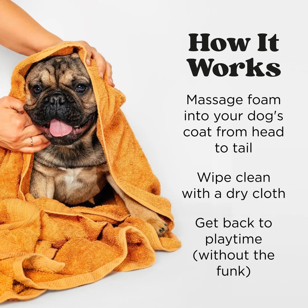 Waterless Pet Shampoo Foam – No-Rinse Grooming Cleanser with Fresh Scent, Deodorizing Paw & Coat Cleaner for Dogs & Cats