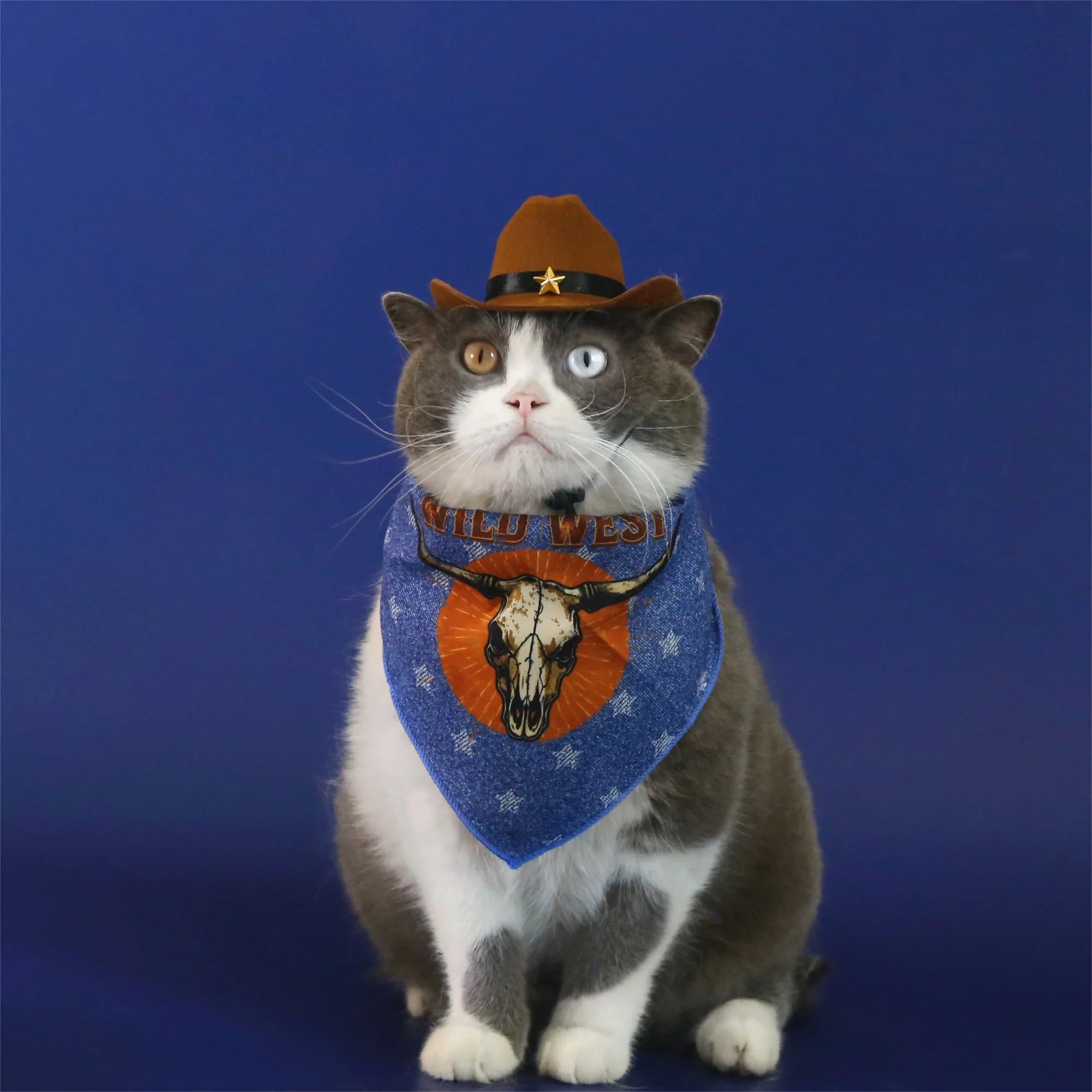 Dog Cowboy Costume – Wild West Hat & Paisley Bandana Set for Small Pets Halloween
