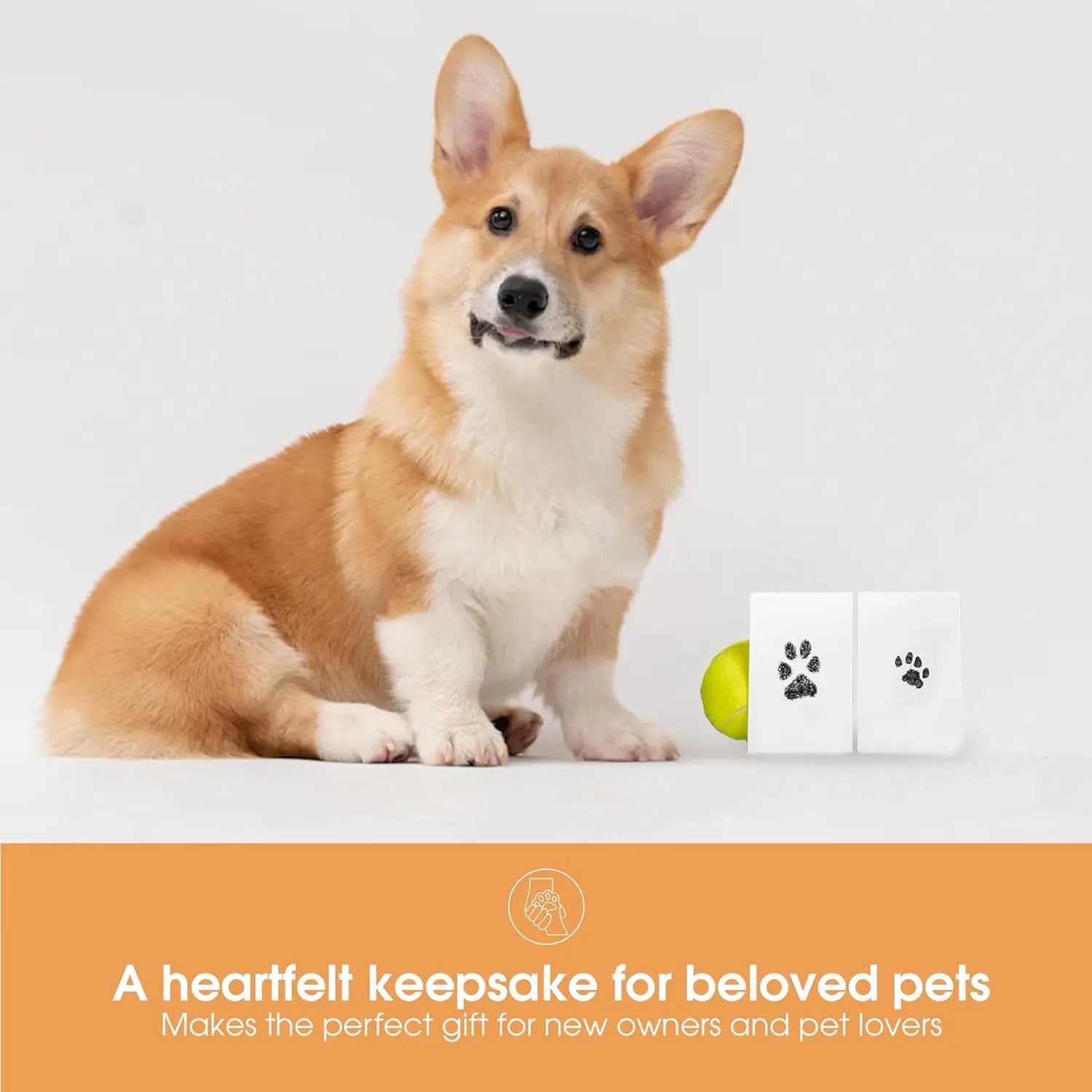 Paw Print Ink Pad Kit – Clean Touch Keepsake for Dogs & Cats, DIY Inkless Paw & Nose Print Set