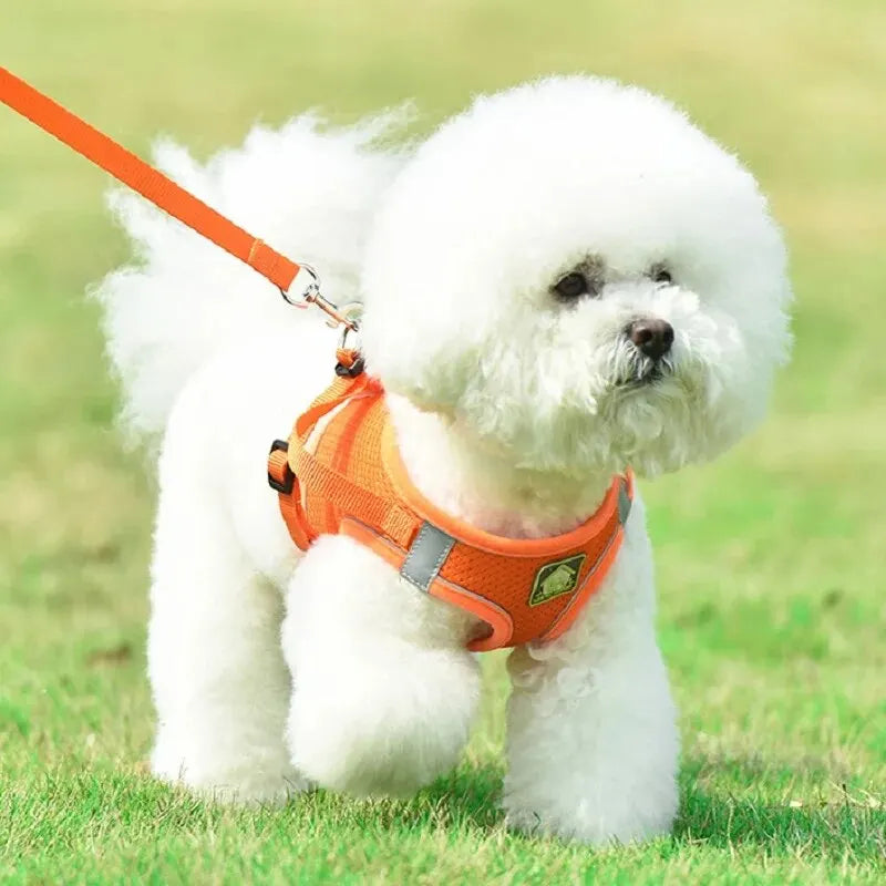 Reflective Pet Harness and Leash Set – No Pull Dog Vest with Breathable Mesh for Dogs & Cats
