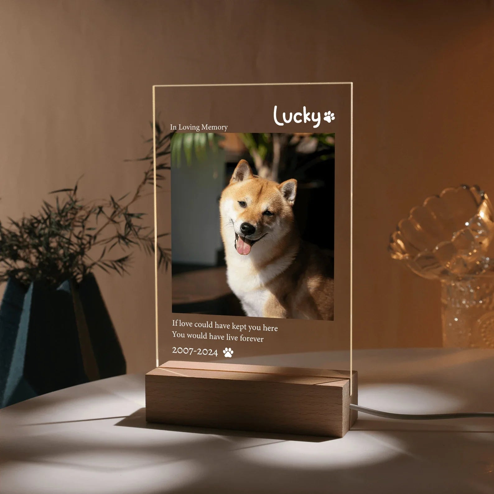 Personalized Pet Picture Plaque – Custom LED Acrylic & Wooden Stand Photo Board, Memorial Gift for Dogs & Cats