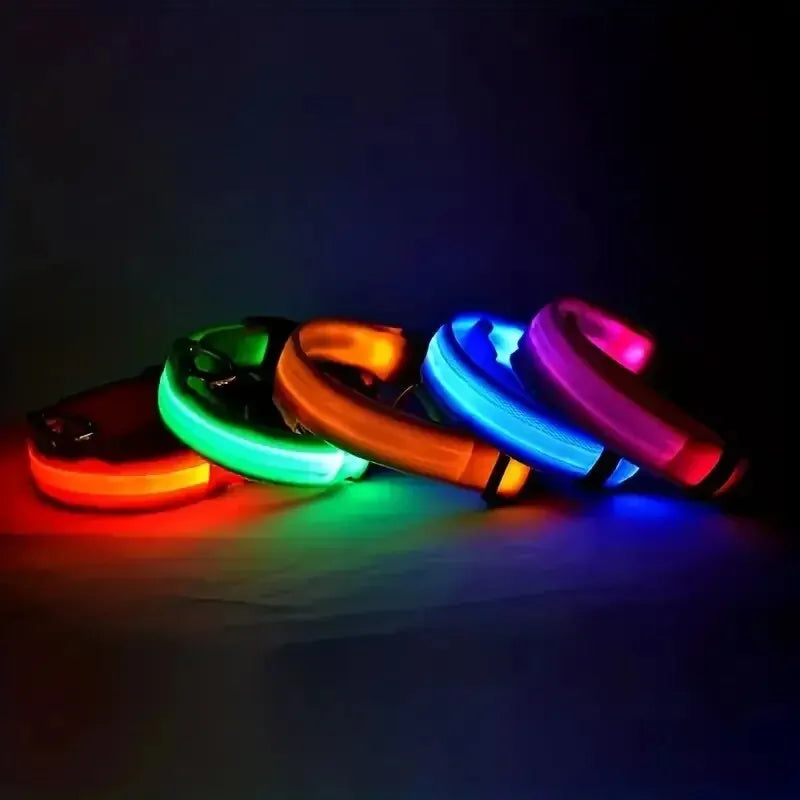 LED Dog Leash & Collar – Nylon Glow-in-the-Dark Safety Set for Night Walks