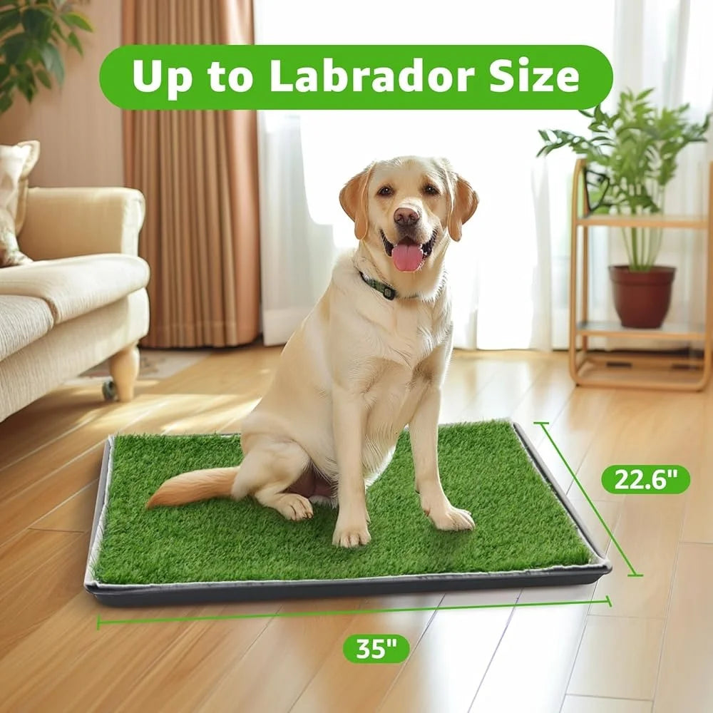 Large Dog Potty Patch – Washable Artificial Grass Litter Box for Indoor & Outdoor Use