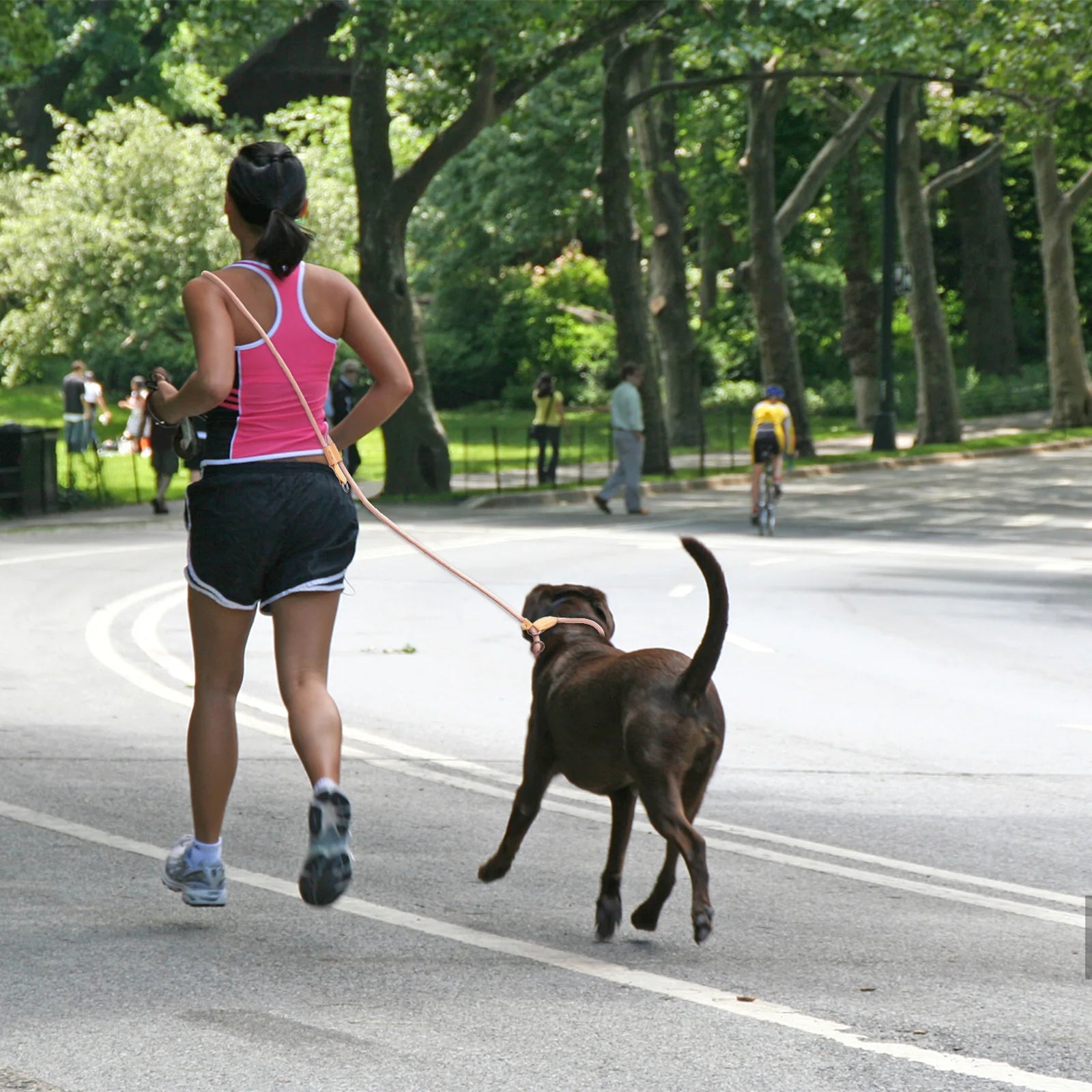 Multi-Functional Adjustable P-Shape Dog Leash – Hands-Free Running & Walking Traction Rope