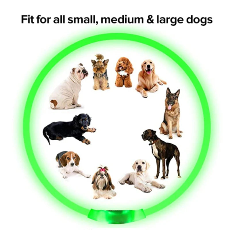 USB Charging LED Luminous Dog Collar – Adjustable Flashing Safety Light Necklace for Dogs & Cats