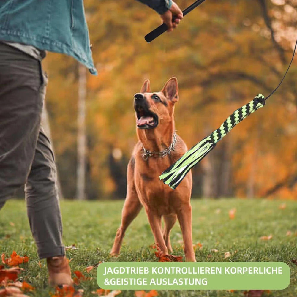 Retractable Flirt Pole Dog Toy – Bite-Resistant Teaser Wand with Plush Refill for Interactive Play & Training