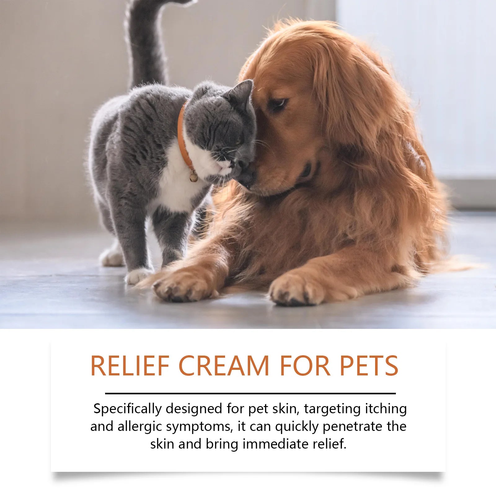 Yegbong Pet Skin Care Cream – Soothing Relief for Itching, Warts, and Ringworm