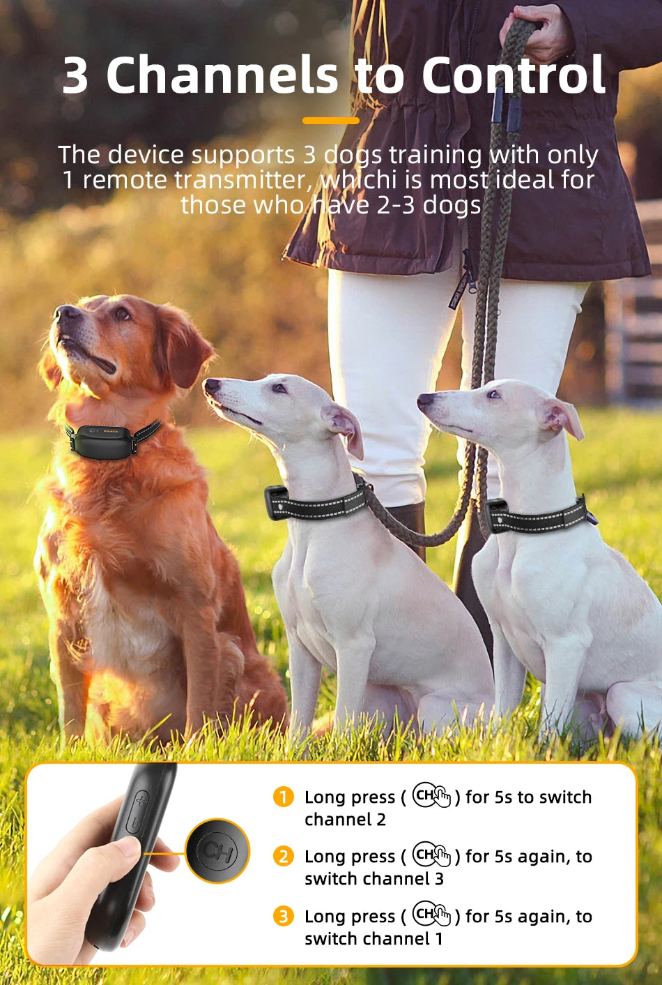 ROJECO Rechargeable Dog Training Collar – IPX7 Waterproof with Remote, Vibration & Shock Modes