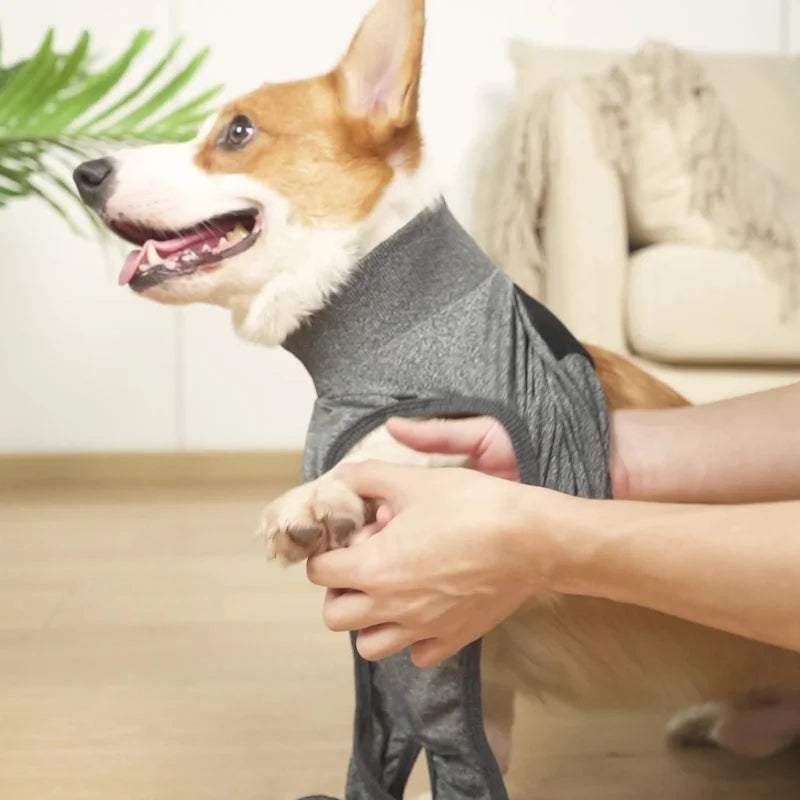 Pet Recovery Suit – Post-Surgery Shirt for Dogs & Cats