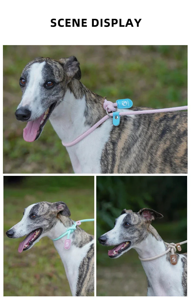 Hands-Free Dog Running Leash with Waist Belt and Adjustable Harness
