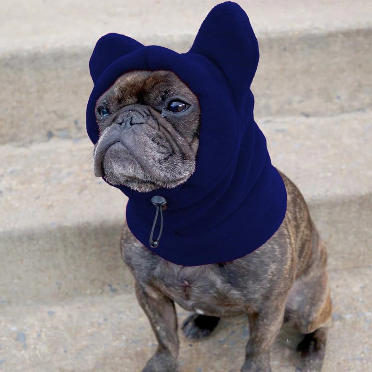Fleece Bat Hat – Warm Adjustable Winter Pet Hat for Dogs